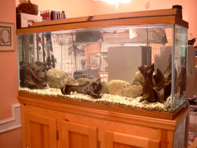 55 Gallon Tank