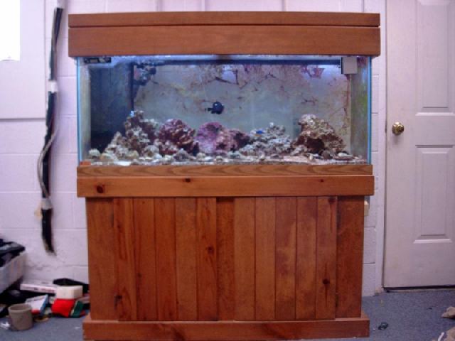 75 Gallon Salt Water